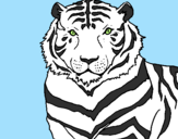 Desenho Tigre pintado por O Pensador