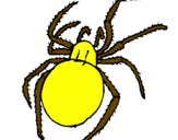 Desenho Aranha venenosa pintado por de:guilherme