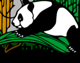 Desenho Urso panda a comer pintado por daniel