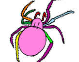 Desenho Aranha venenosa pintado por KAUÃ MIRA