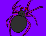Desenho Aranha venenosa pintado por maria 