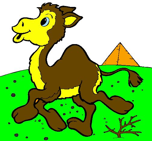 Desenho Camelo pintado por M12