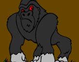 Desenho Gorila pintado por thales