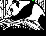 Desenho Urso panda a comer pintado por xxxxxxxxxxxxxxxxxxx