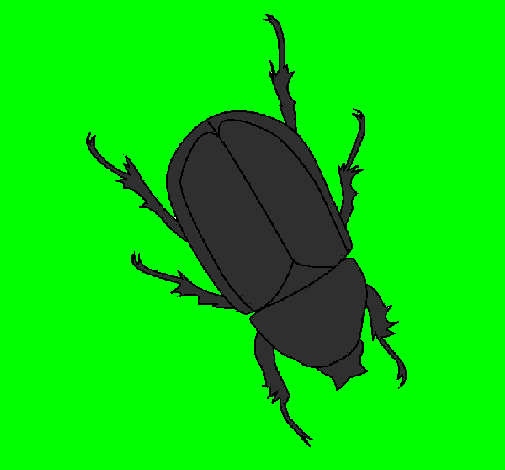 Desenho Escaravelho pintado por Felipe Rocha 
