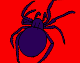Desenho Aranha venenosa pintado por renato g