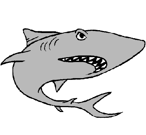 Desenho Tubarão pintado por L