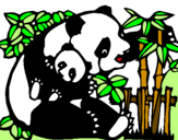 Desenho Mamã panda pintado por edivania