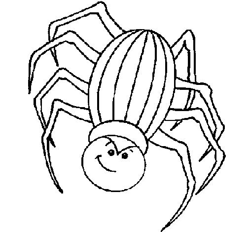 Desenho Aranha pintado por Manu