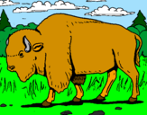 Desenho Búfalo pintado por Brit