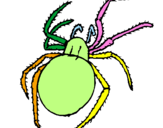 Desenho Aranha venenosa pintado por ANA  CAROLINA