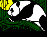 Desenho Urso panda a comer pintado por pablo