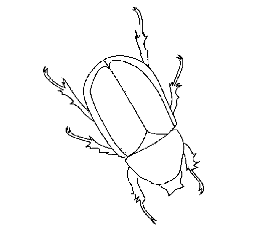 Desenho Escaravelho pintado por Manu