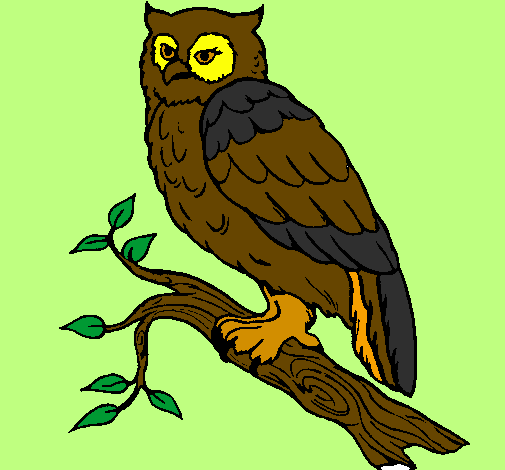 Desenho Coruja pintado por coruja carijo