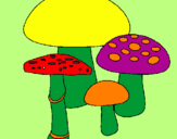 Desenho Cogumelos pintado por arthur