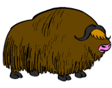 Desenho Bisonte  pintado por pablo