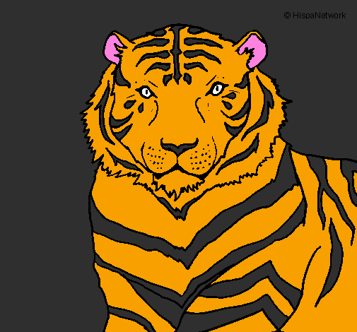 Desenho Tigre pintado por preto e laranja