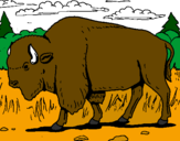 Desenho Búfalo pintado por mauricio