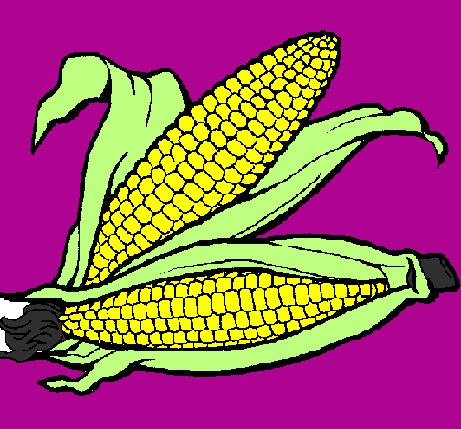 Desenho Espiga de milho  pintado por vitóriacristinaamorim
