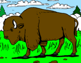Desenho Búfalo pintado por davi