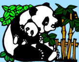 Desenho Mamã panda pintado por sávio lucas
