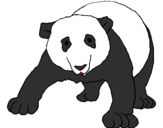 Desenho Urso panda pintado por laura