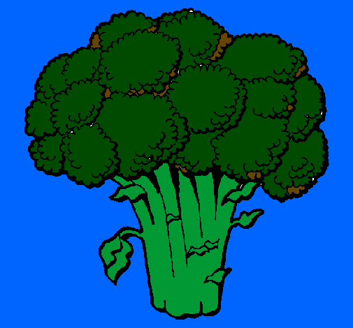 Desenho Brócolos pintado por  007