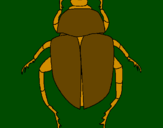 Desenho Escaravelho pintado por SILAS