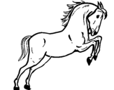 Desenho Cavalo a saltar pintado por Meg