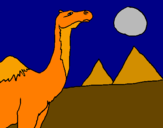 Desenho Camelo pintado por lis