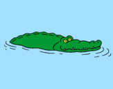 Desenho Crocodilo 2 pintado por ique