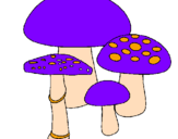 Desenho Cogumelos pintado por carina