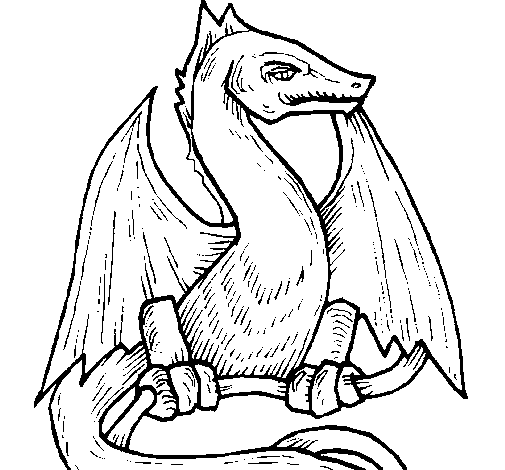 Desenho Dragão  pintado por bludargon