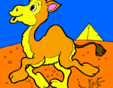 Desenho Camelo pintado por Assobiador