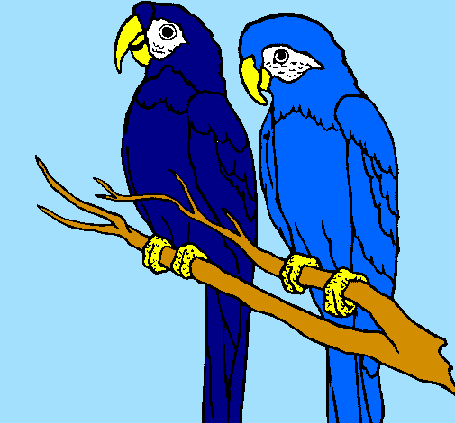 Desenho Louros pintado por BLUE E JADE
