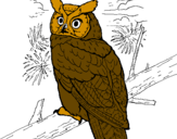 Desenho Coruja real americana pintado por biel aguia