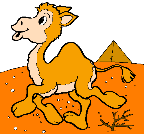 Desenho Camelo pintado por gabriel izumi
