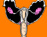 Desenho Vagina pintado por edu