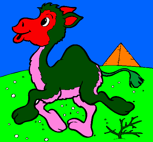 Desenho Camelo pintado por nathy