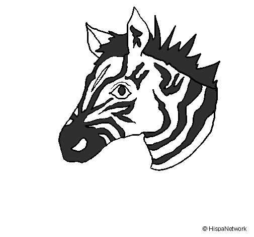Desenho Zebra II pintado por zebra
