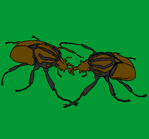 Desenho Escaravelhos pintado por SILAS