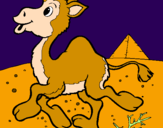 Desenho Camelo pintado por red x