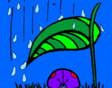 Desenho Joaninha protegida da chuva pintado por LILI´S