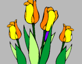 Desenho Tulipa pintado por maria bonita