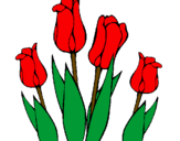 Desenho Tulipa pintado por gordinha