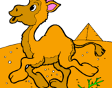 Desenho Camelo pintado por andre  da   cruz