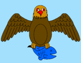 Desenho Águia a caçar pintado por biel aguia