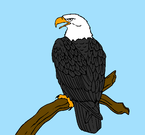 Desenho Águia num ramo pintado por aguia