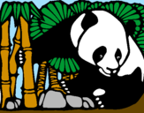 Desenho Urso panda e bambu pintado por mariana c