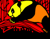 Desenho Urso panda a comer pintado por xvgsf